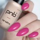 Гел лак PNB 8 мл 378